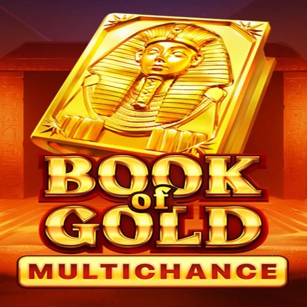 Book of Gold Multichance logo by Playson Spinbara Casino